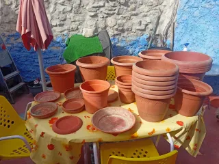 Lote de tiestos de plástico duro