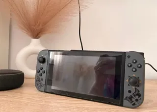 Nintendo Switch Edición Monster Hunter
