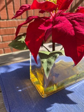 Florero Cristal Rectangular con 3 Poinsettias