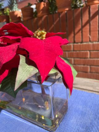 Florero Cristal Rectangular con 3 Poinsettias