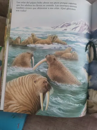 Libro sobre animales en naturaleza