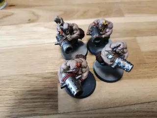 Ejército Ogros de Sigmar