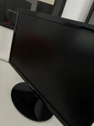 Monitor Samsung S22D300 Negro