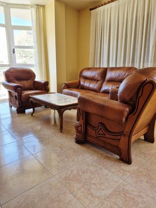 Sofá y sillón de piel marrón