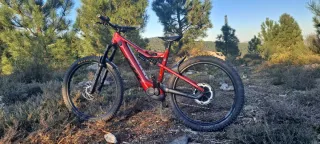 KTM Kapoho 7973 E-bike