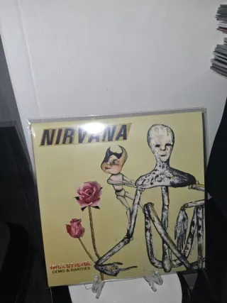Pink Floyd & Nirvana Vinili