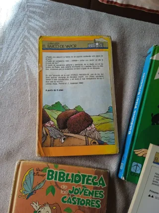 Lote libros infantiles