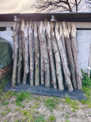 Estacas de castaño