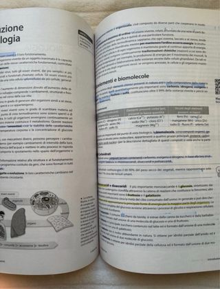 KIT DI PREPARAZIONE TEORIA + ESERCIZI UNIVERSITARI