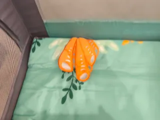 Parque Infantil y Cuna de Viaje Lionelo