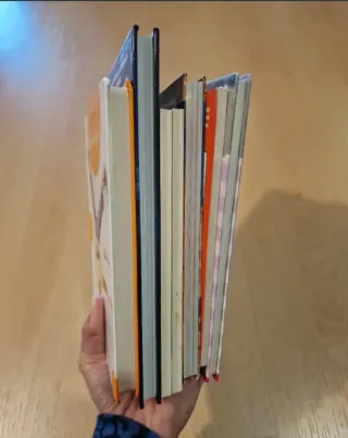 Lote 7 libros lectura infantil 7-10 años