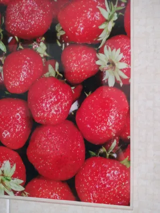 Cuadros Frutas Metacrilato