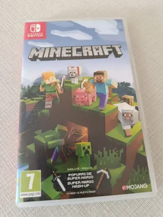 Minecraft Nintendo Switch