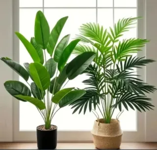 2 Plantas Artificiales