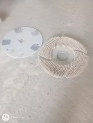 Platos para abrillantadora