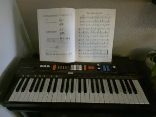 Teclado Casio Casiotone 403 Vintage