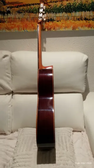 Guitarra Palosanto Tatay