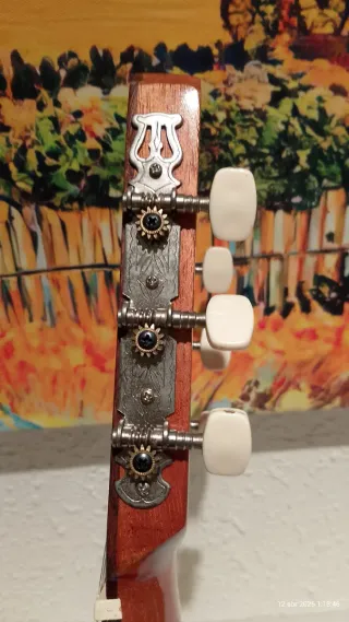 Guitarra Palosanto Tatay
