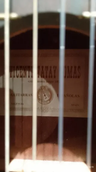 Guitarra Palosanto Tatay