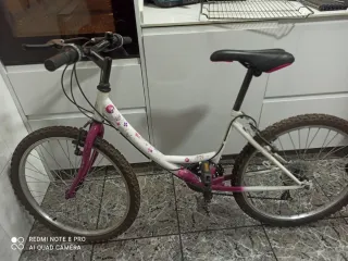 Bicicleta niña bonita flores rosa