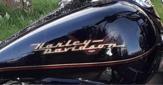 Calcas Harley Davidson V USA Originales