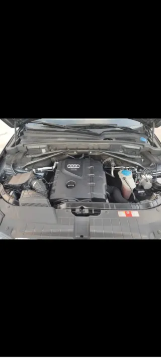 Audi Q5 2009