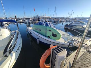 Embarcación Bayliner con motor nuevo