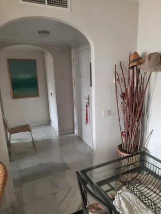 alquilo apartamento Verano Marbella