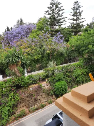 alquilo apartamento Verano Marbella