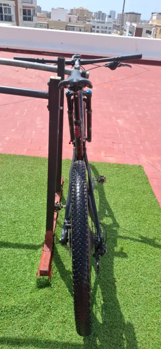 BH Lynx Carbon RC 2019