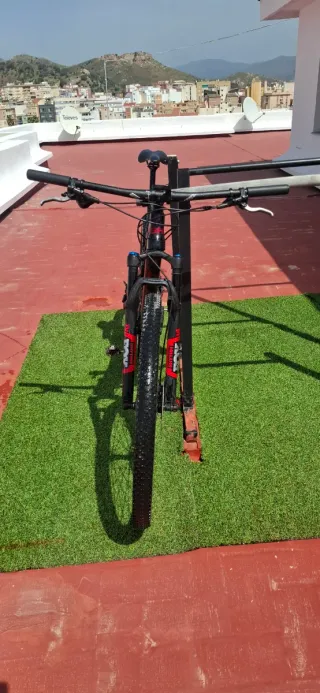 BH Lynx Carbon RC 2019