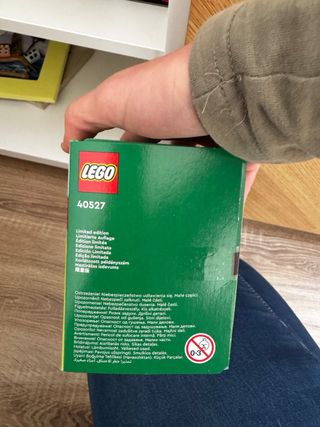 Lote 2 LEGO BrickHeadz Gato Naranja 40480