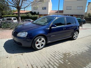 Volkswagen Golf V 1.9tdi 105cv BXE