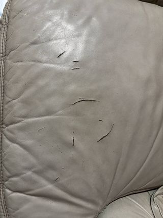 CONJUNTO DE SILLONES DE CUERO GRIS Chesterfield