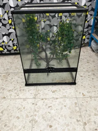 Terrario Exo Terra 45x45x60