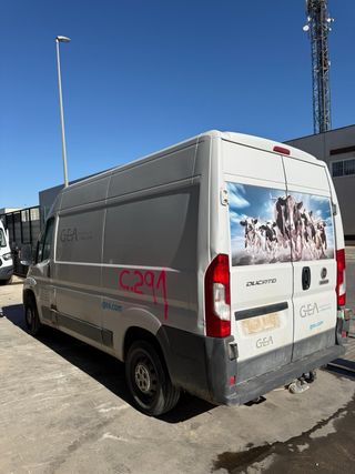 Despiece Fiat Ducato 2.3 JTD Año 2017