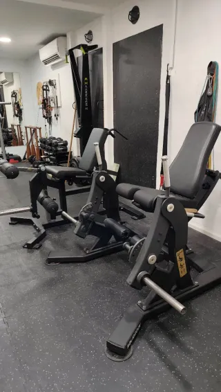 Máquina extensión de piernas Body Tone SolidRock