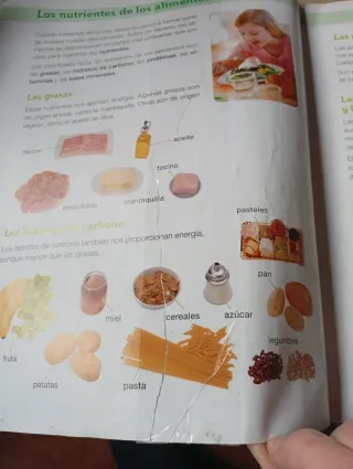 CIENCIAS DE LA NATURAZA 3 PRIMARIA SABER HACER ...