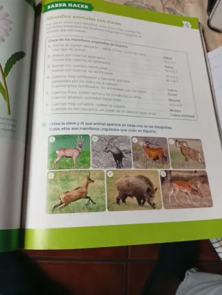CIENCIAS DE LA NATURAZA 3 PRIMARIA SABER HACER ...