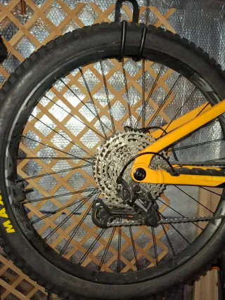 Orbea Wild H30 2024