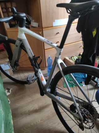 Bici da corsa Focus
