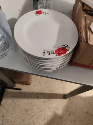 14 Platos Porcelana Blancos con Flores Rojas