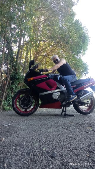 Kawasaki ZX600-ZZR 1990-100CV.