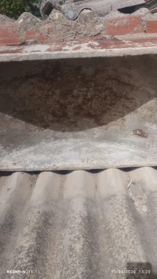 Carretilla obra y pastera