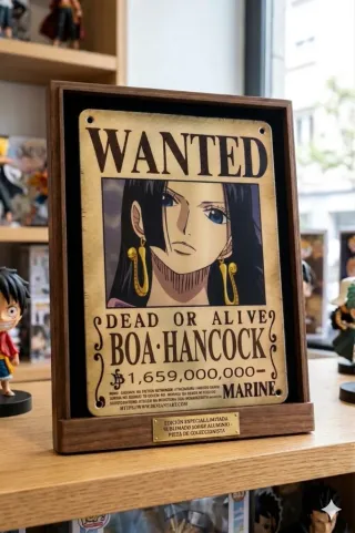 Cartel Wanted One Piece