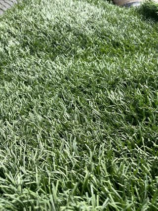 Césped artificial reciclado