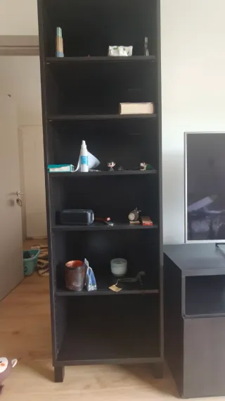 Muebles de salón. Estanterías, rack y mueble