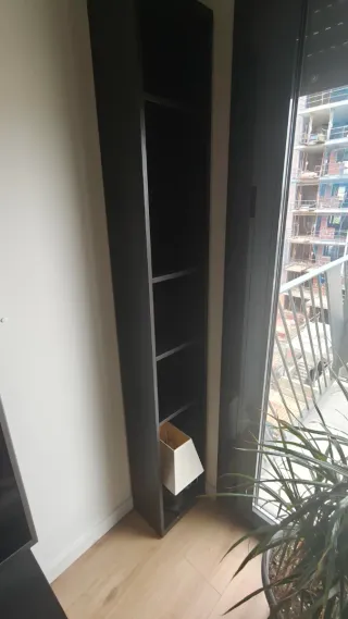 Muebles de salón. Estanterías, rack y mueble