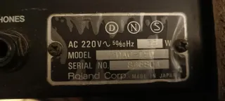 Amplificador Roland DAC-15D
