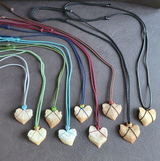 Pack TOP 2 Collares Diente Squalicorax Auténtico